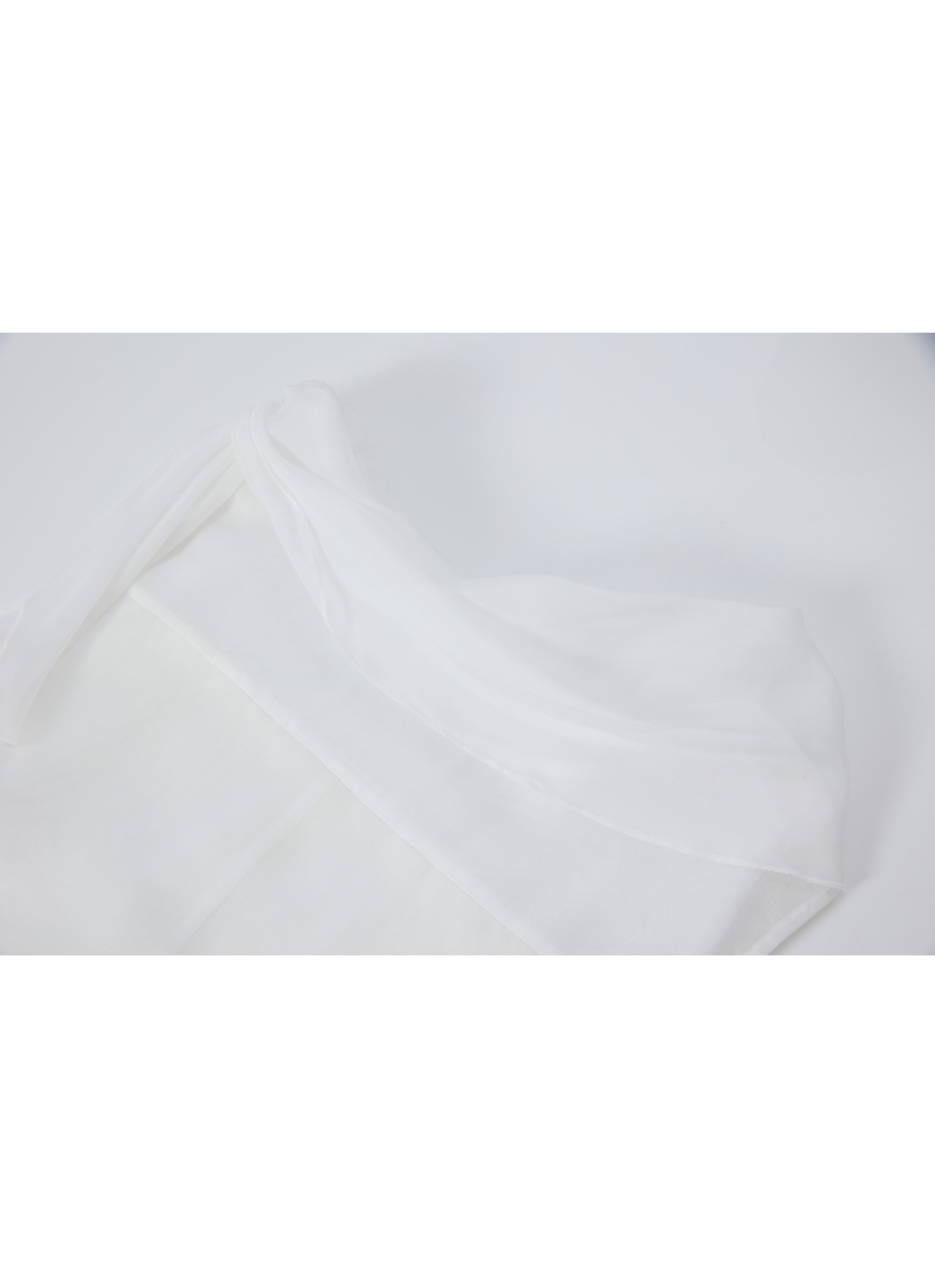SHEER VEIL LAYERED DRESS