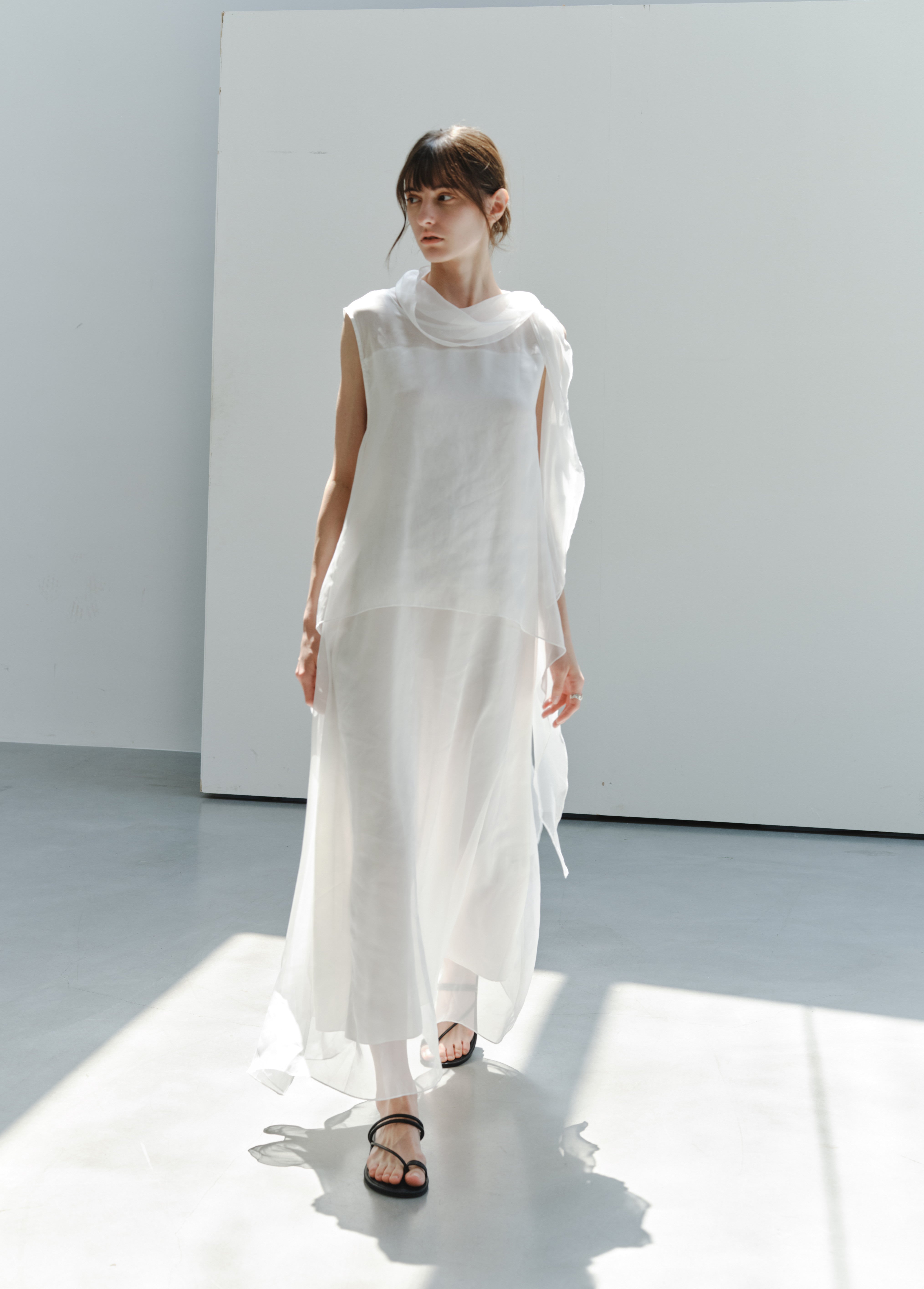 SHEER VEIL LAYERED DRESS