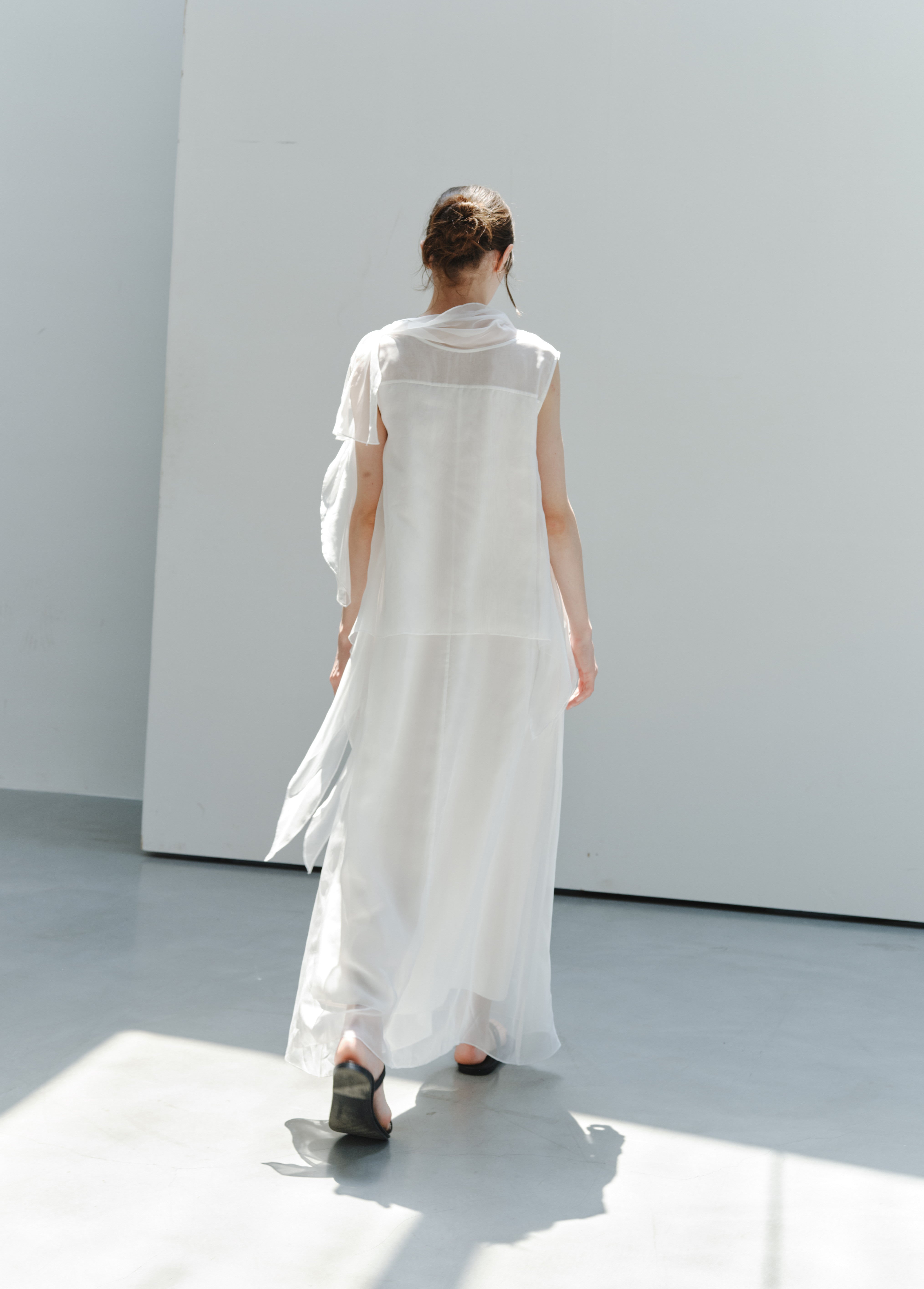 SHEER VEIL LAYERED DRESS