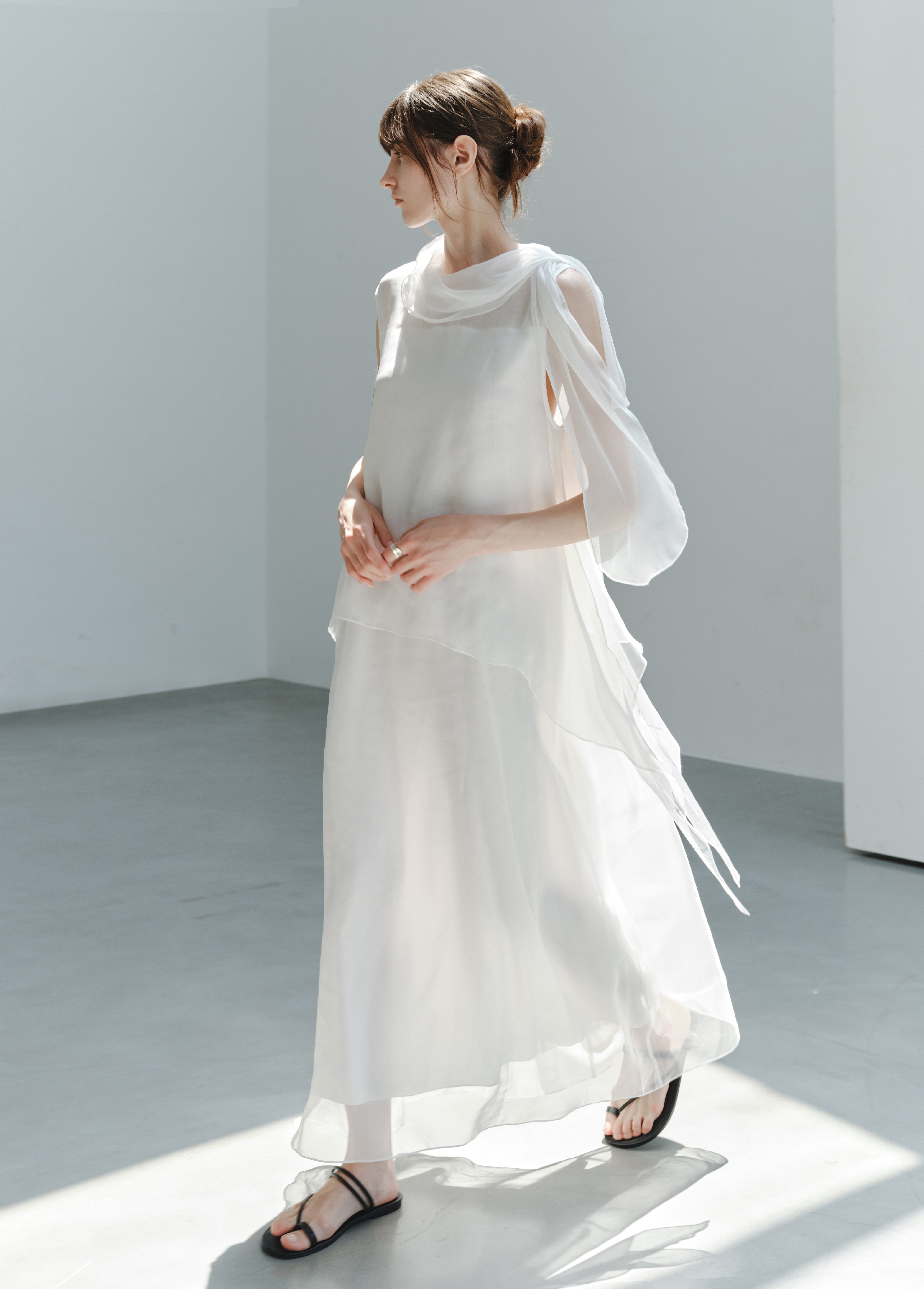 SHEER VEIL LAYERED DRESS