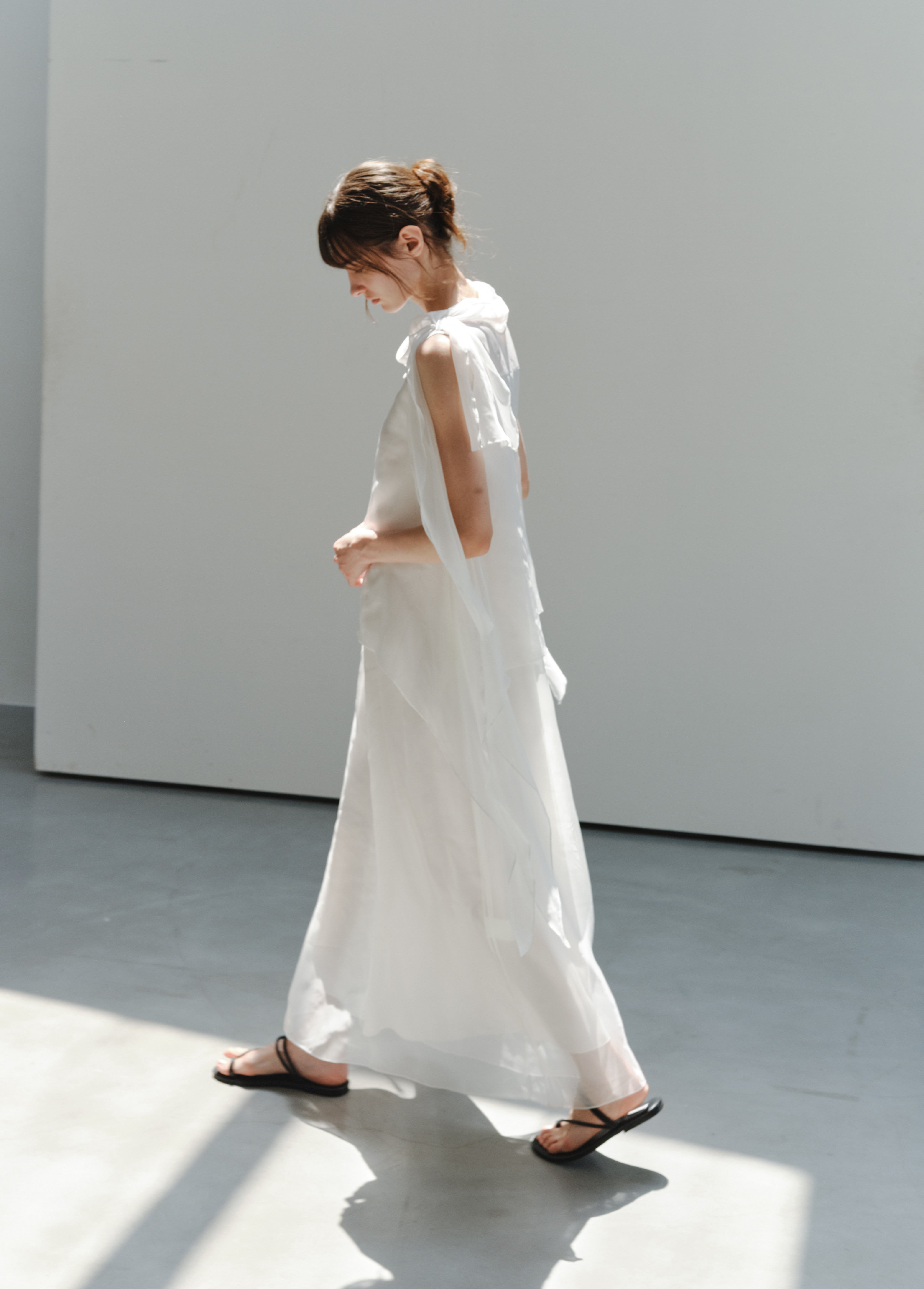 SHEER VEIL LAYERED DRESS