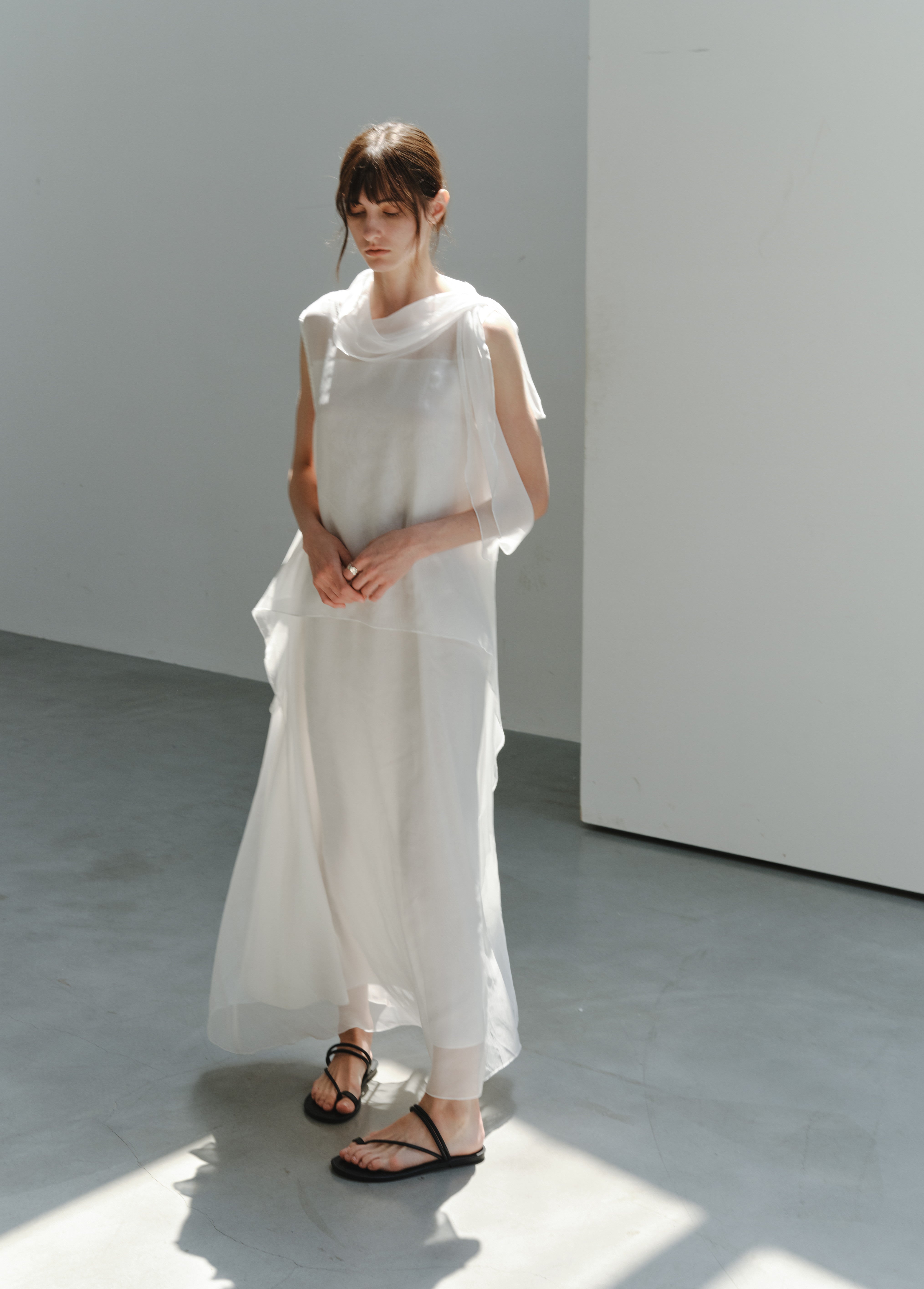 SHEER VEIL LAYERED DRESS