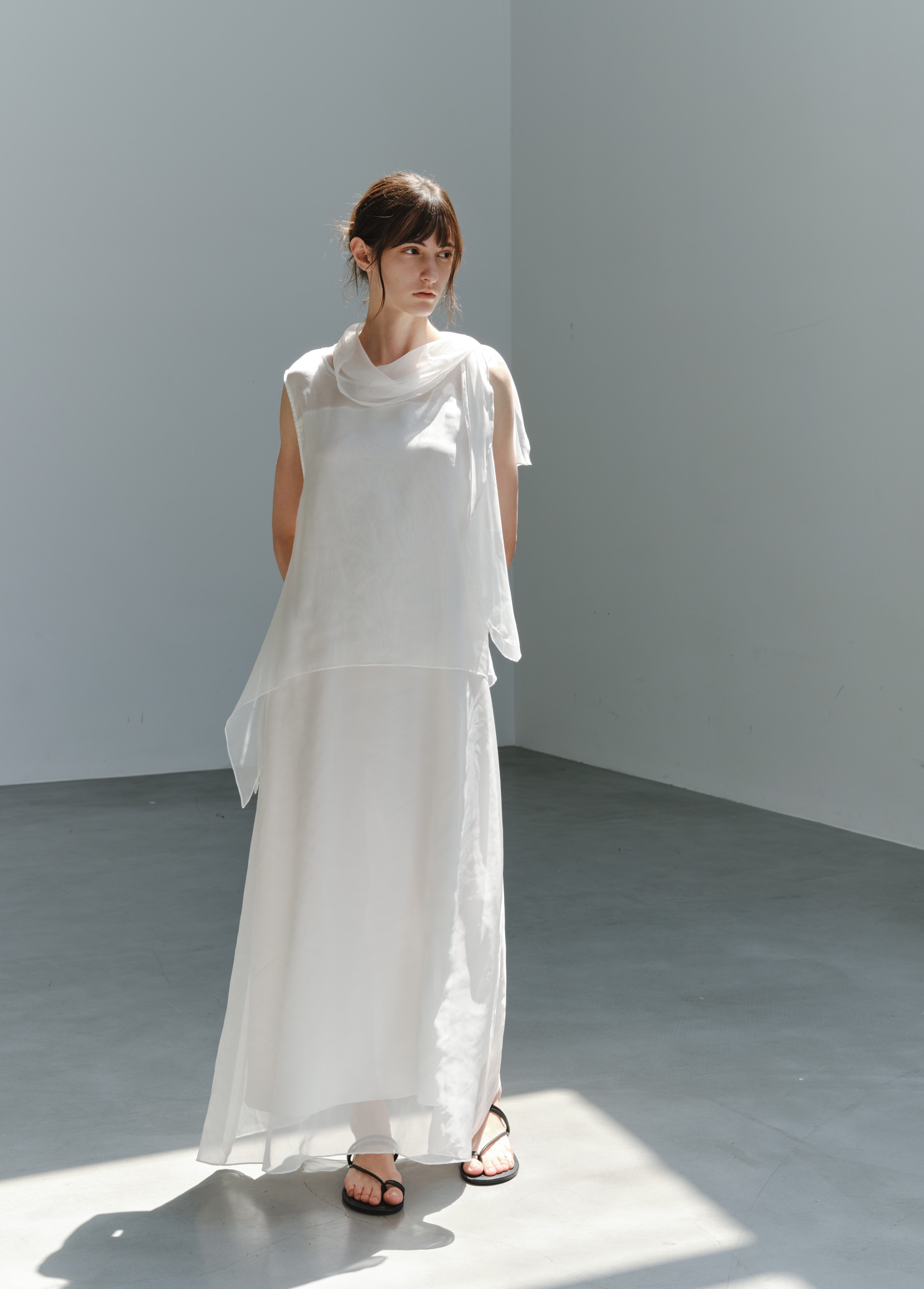 SHEER VEIL LAYERED DRESS