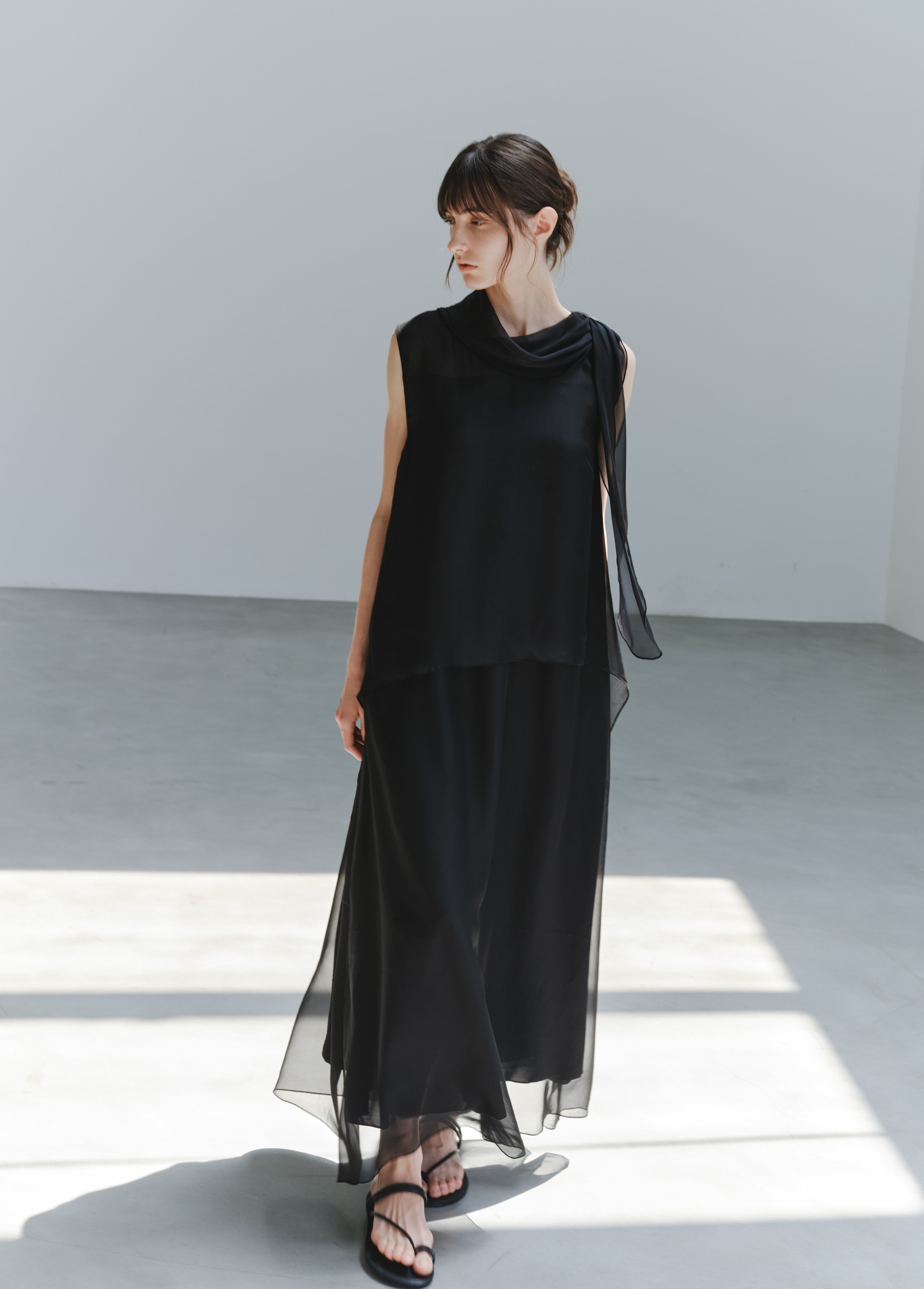 SHEER VEIL LAYERED DRESS