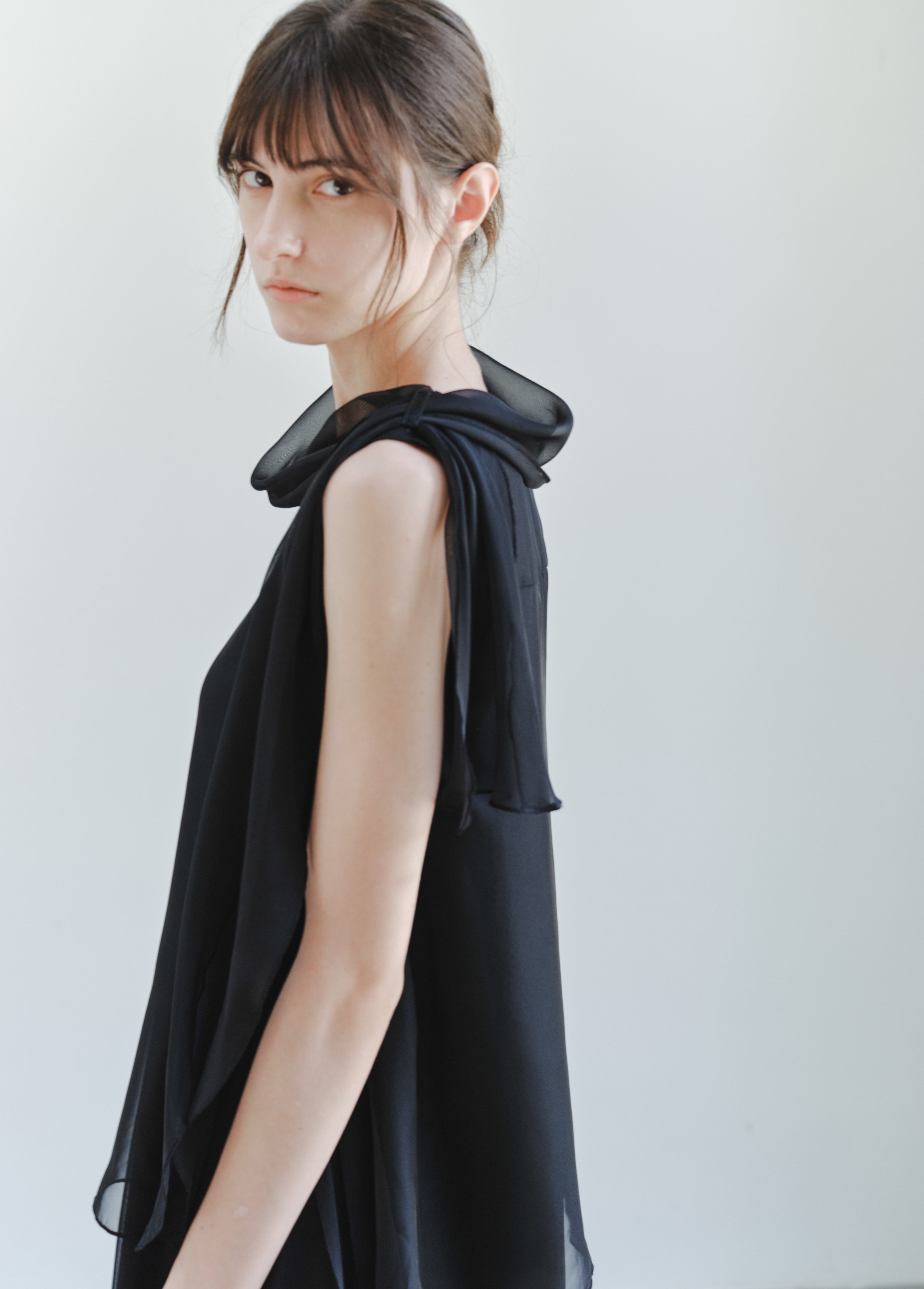 SHEER VEIL LAYERED DRESS