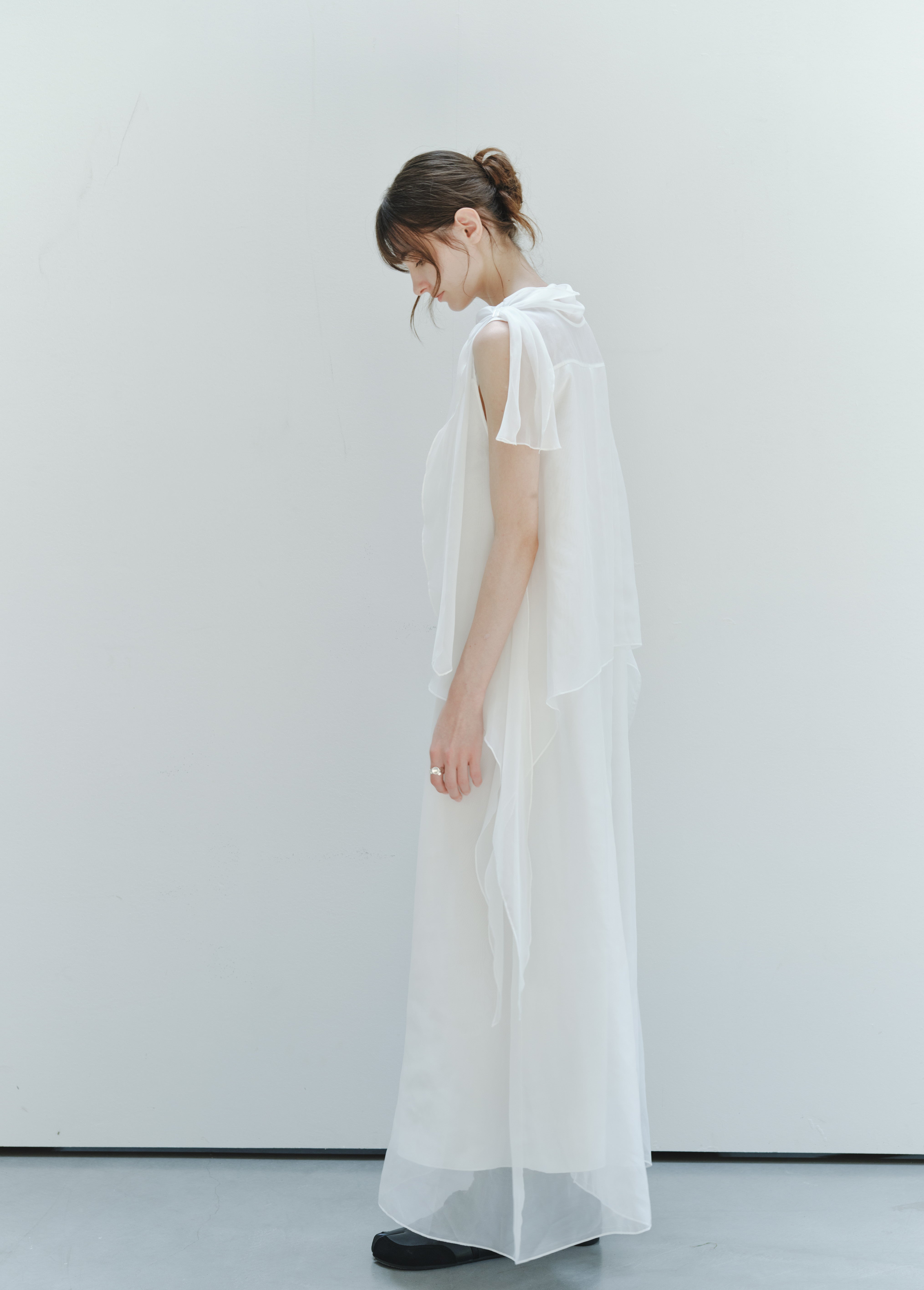 SHEER VEIL LAYERED DRESS