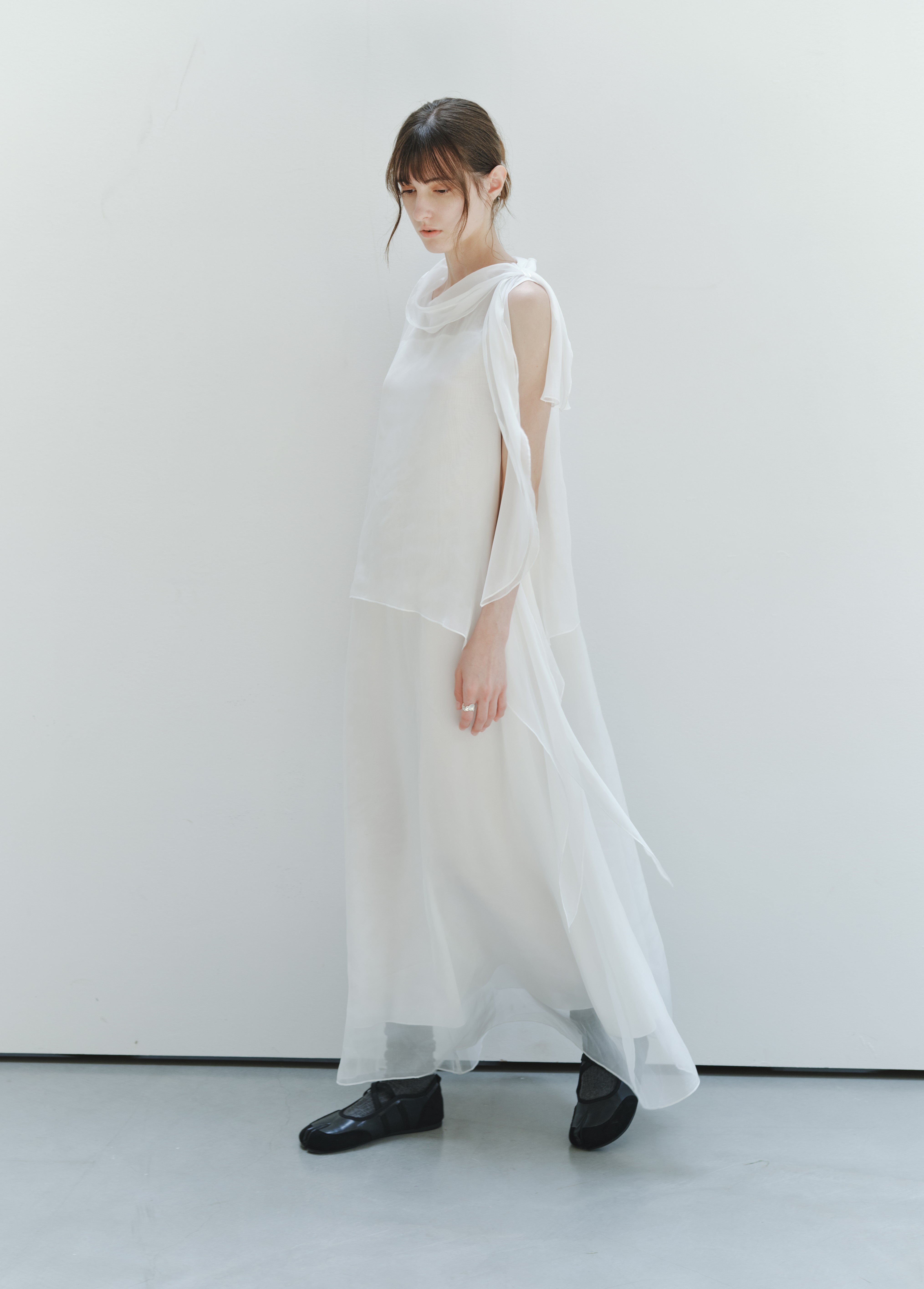 SHEER VEIL LAYERED DRESS