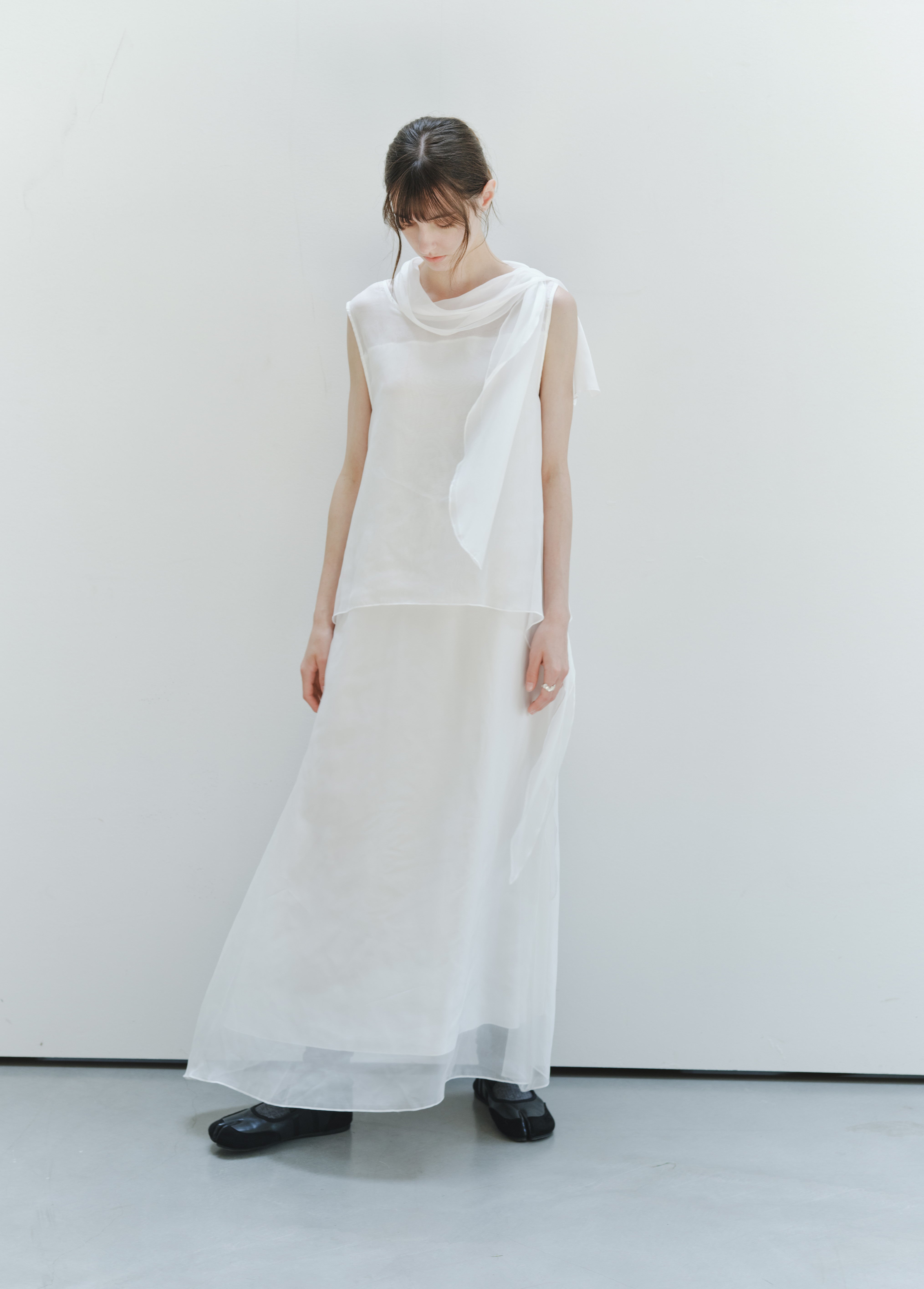 SHEER VEIL LAYERED DRESS