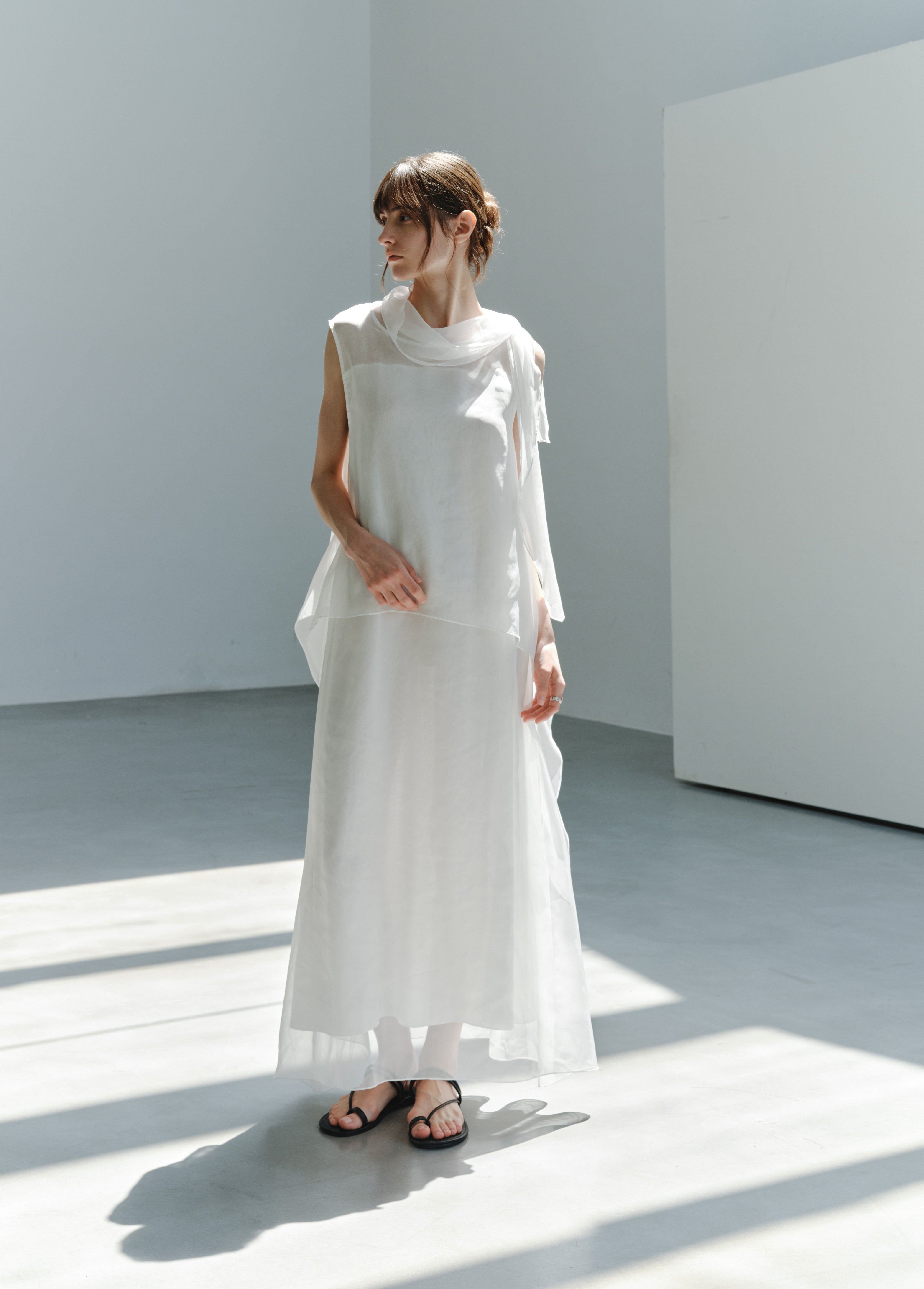 SHEER VEIL LAYERED DRESS