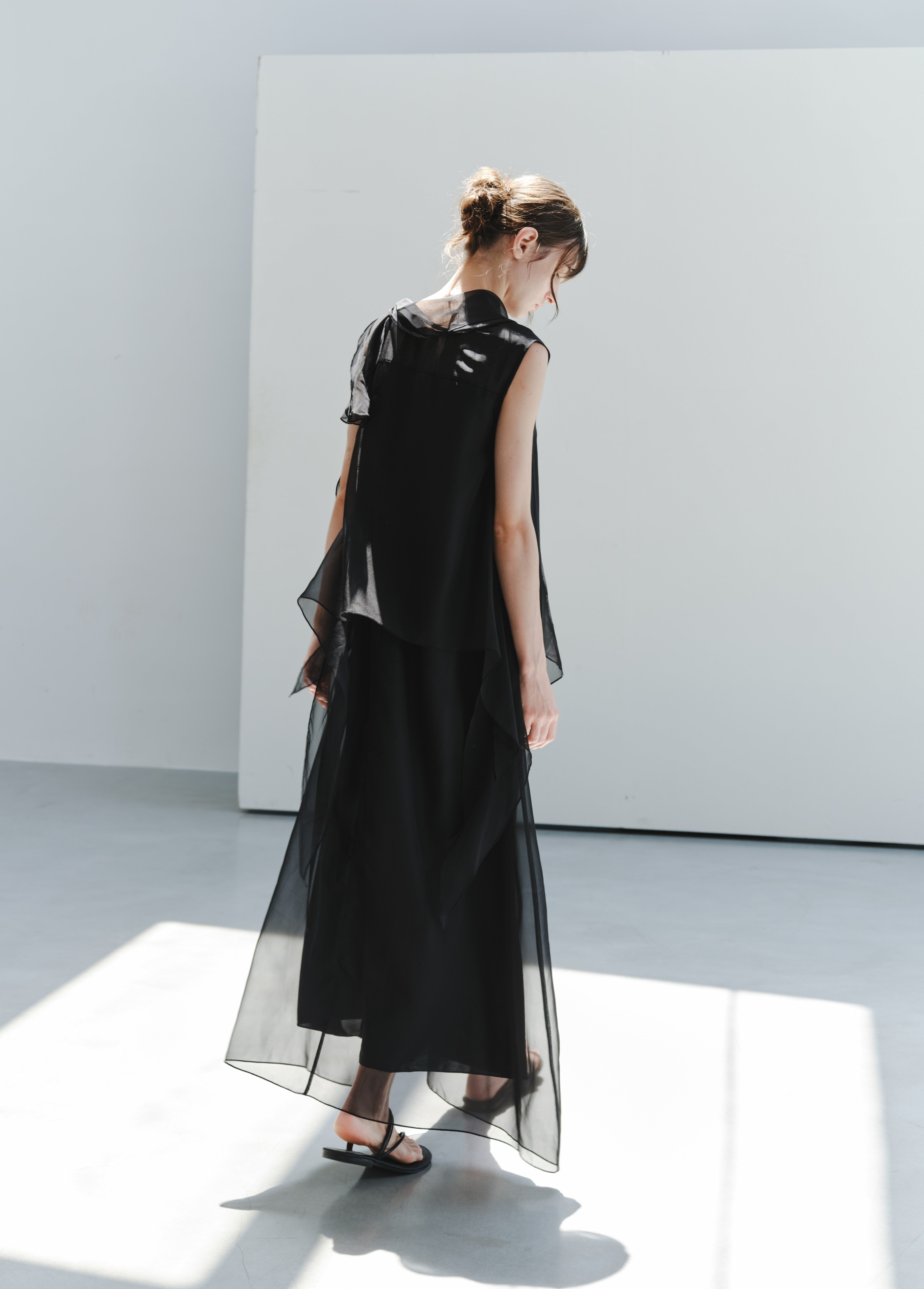 SHEER VEIL LAYERED DRESS