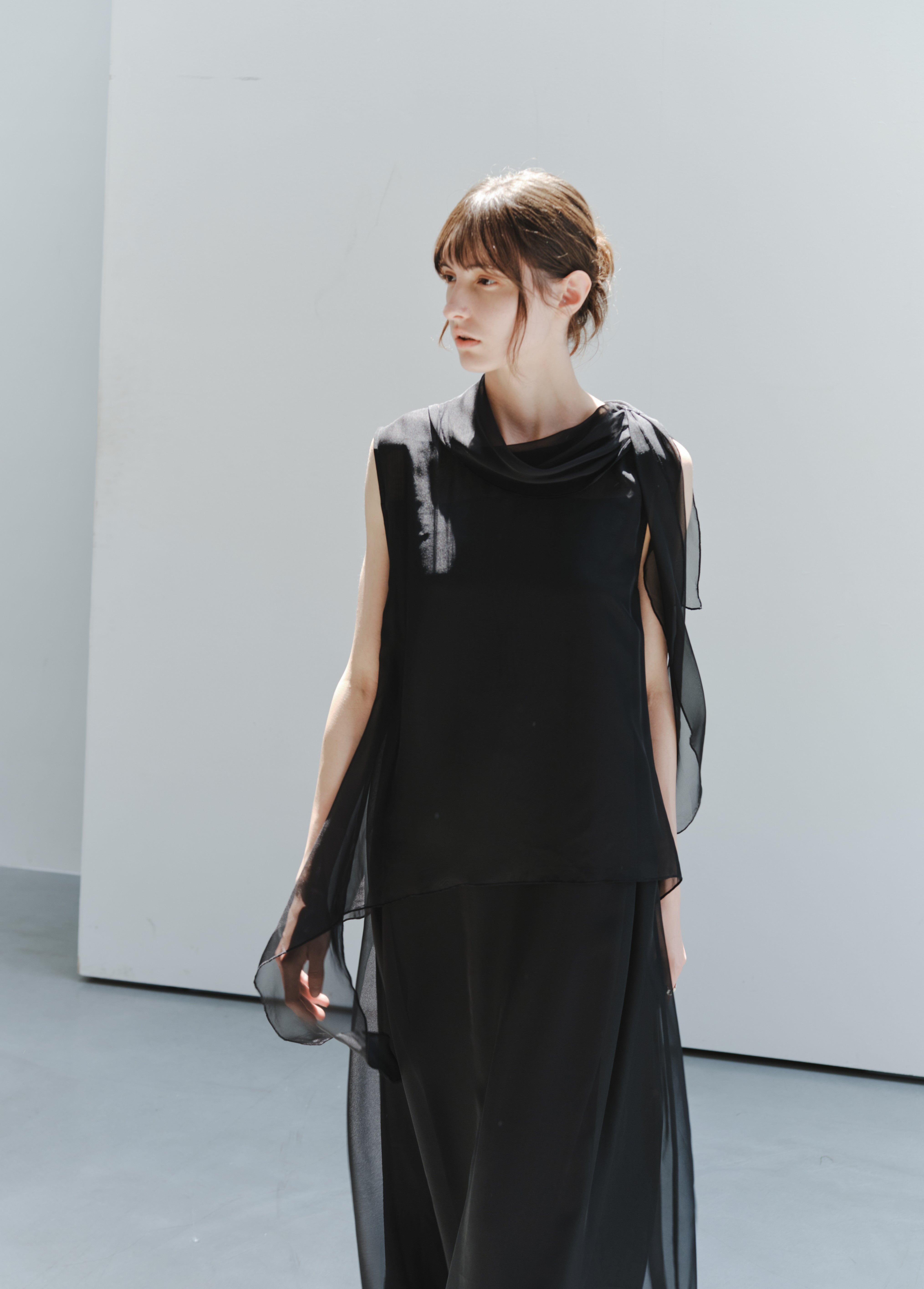 SHEER VEIL LAYERED DRESS