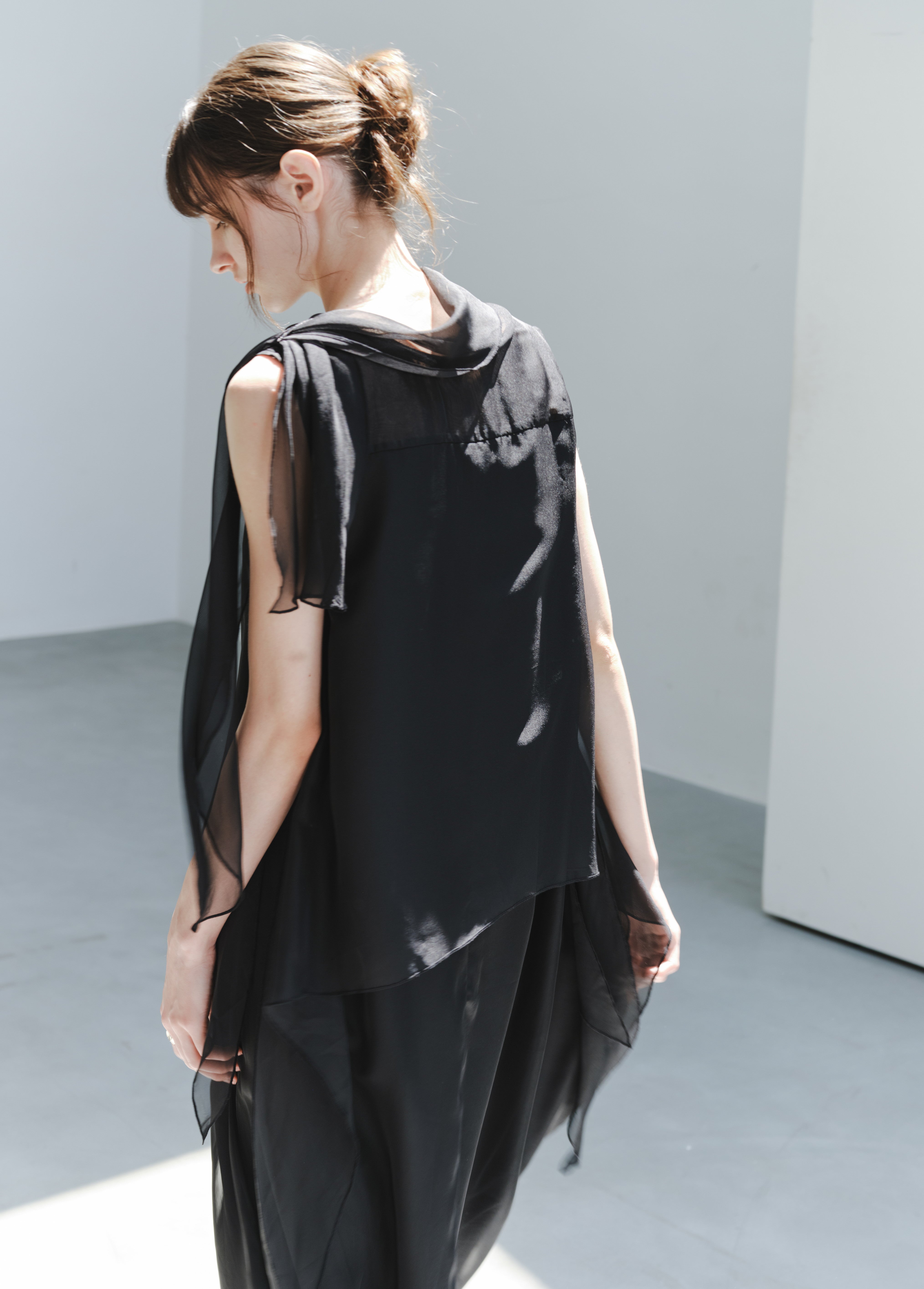 SHEER VEIL LAYERED DRESS