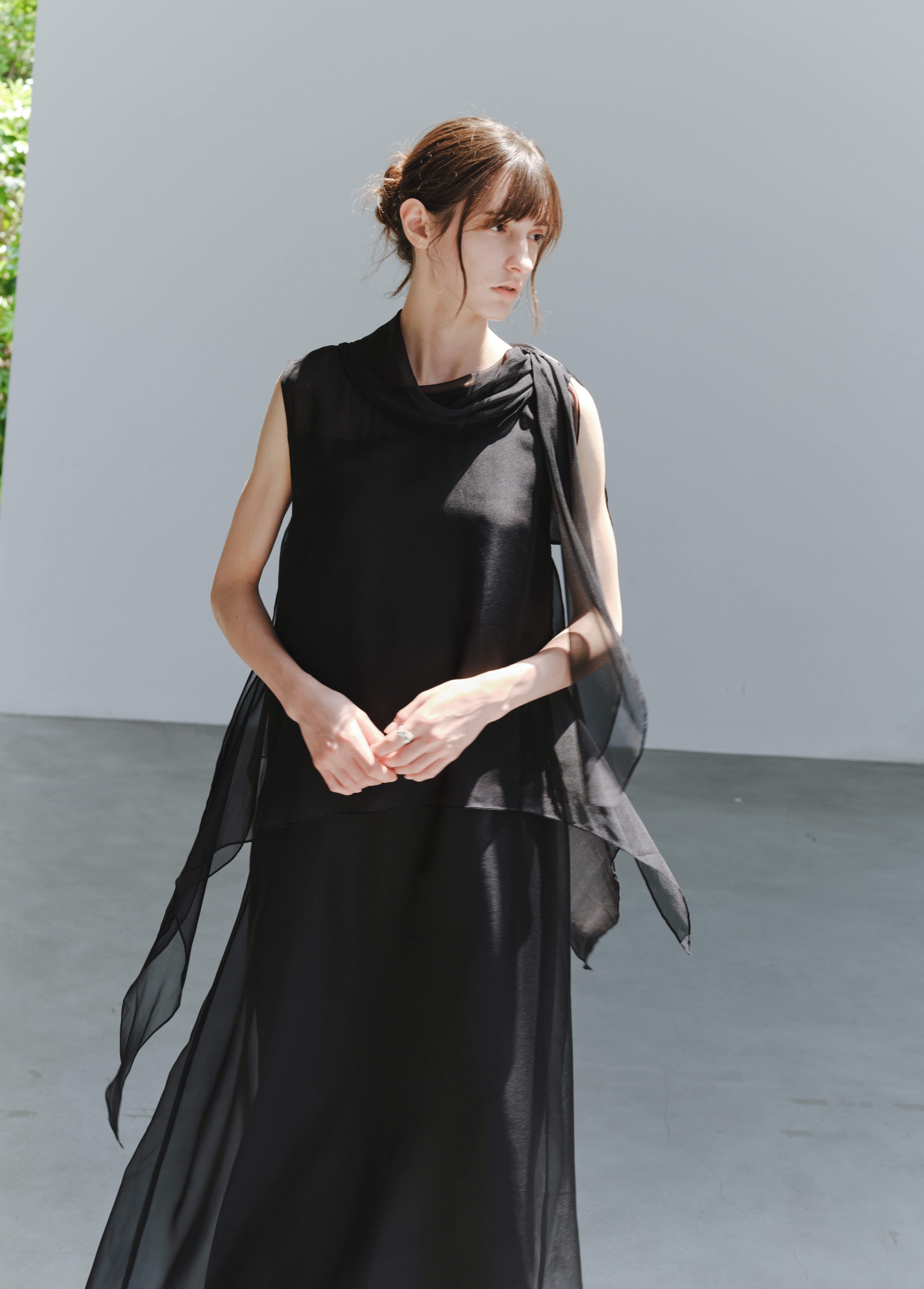 SHEER VEIL LAYERED DRESS