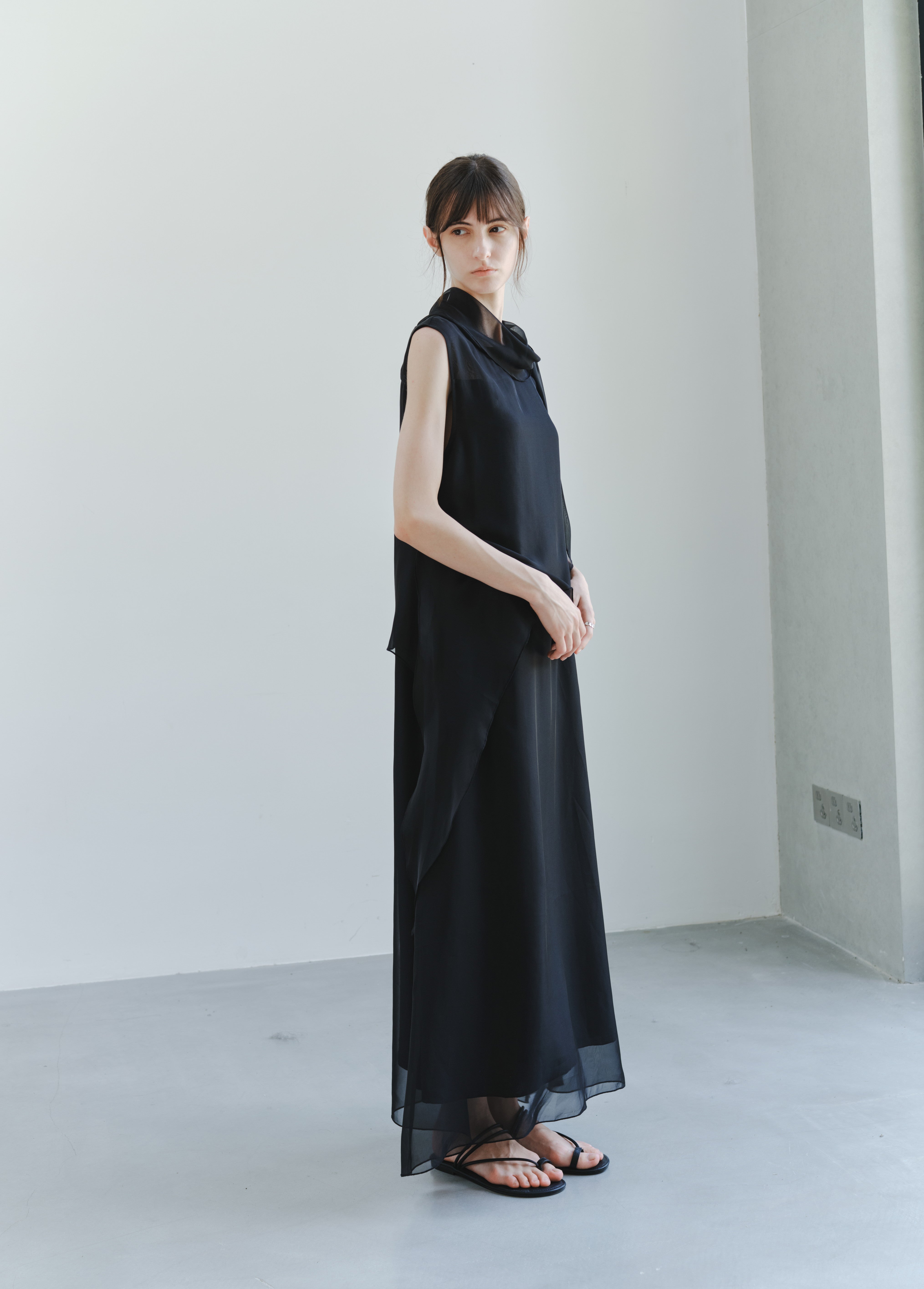 SHEER VEIL LAYERED DRESS