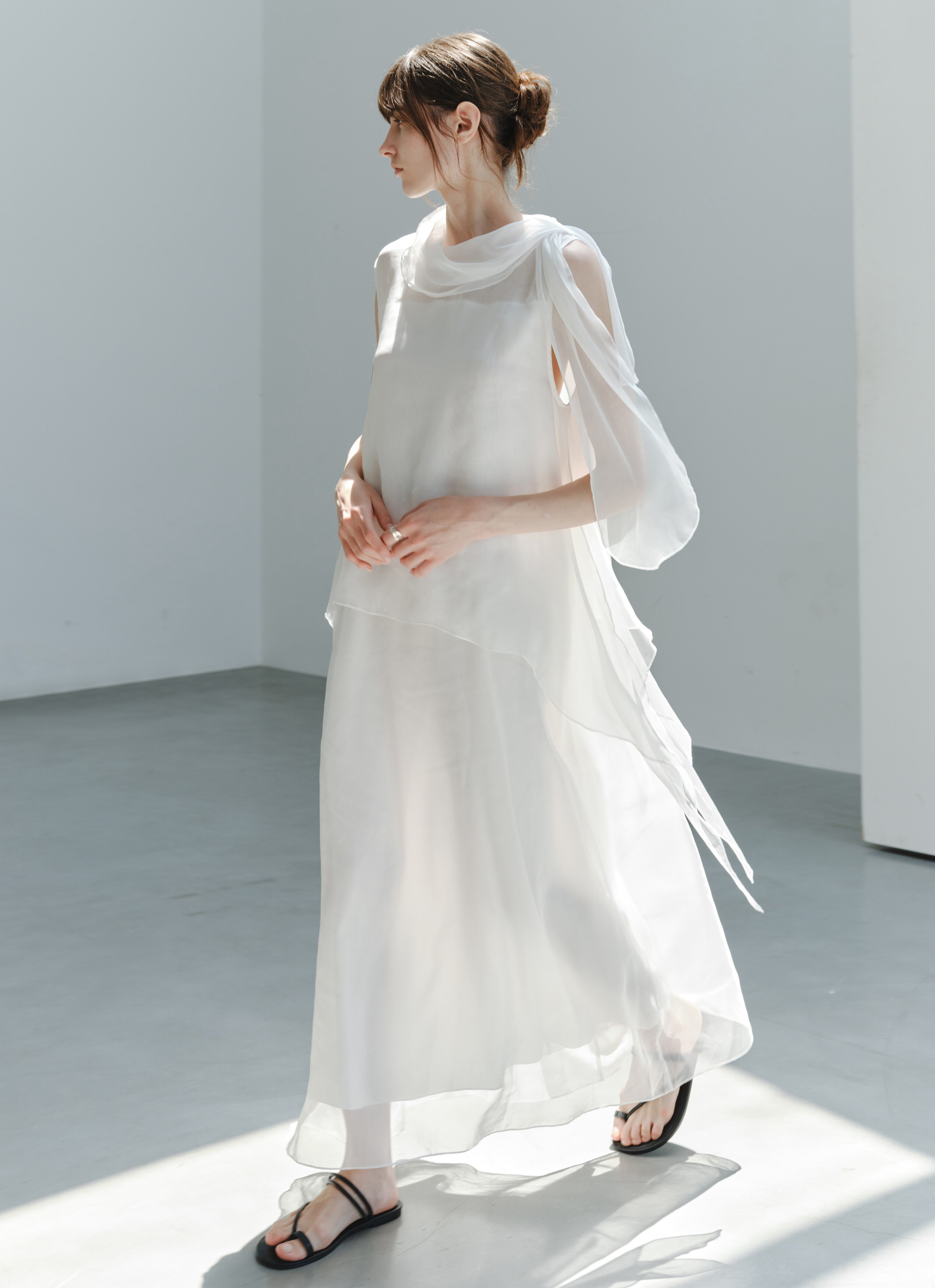 SHEER VEIL LAYERED DRESS